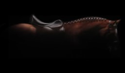SILVERLINE TACK INC.