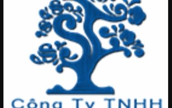 Son Tung Jeans Garment Vietnam – Son Tung Co., Ltd