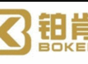 Guangzhou Boken Trade Co., Ltd